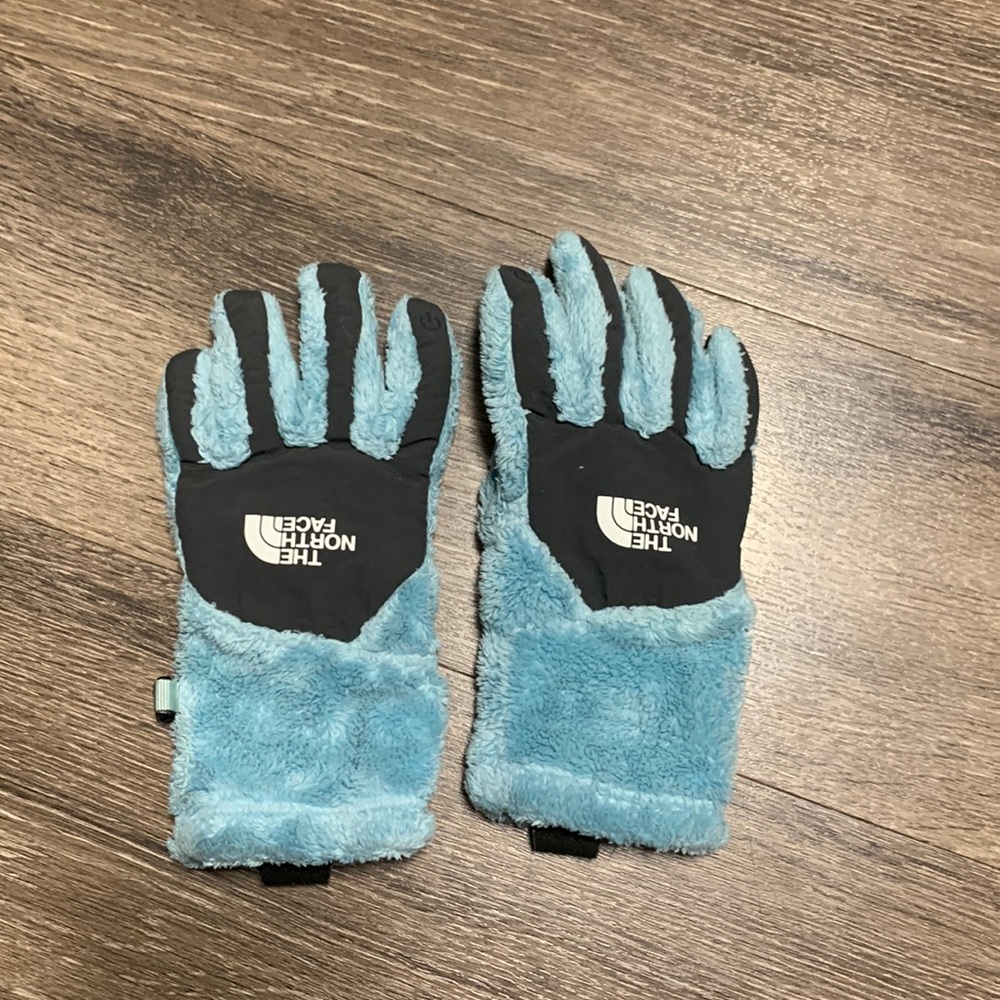 The North Face gloves